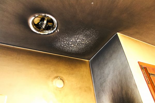 Cost of Smoke Damage Remediation in Port Charlotte